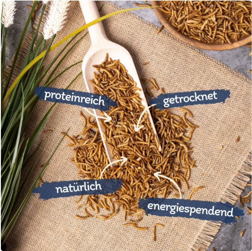 EE-Pflanzenhof's Mehlwürmer 200g