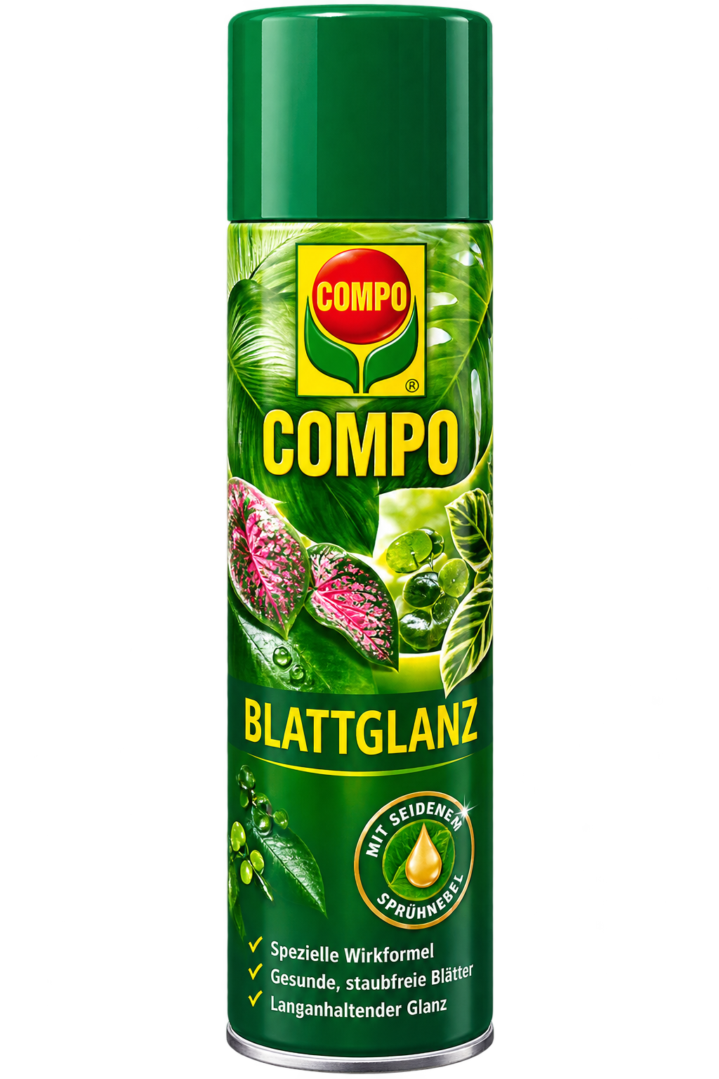 Blattglanz