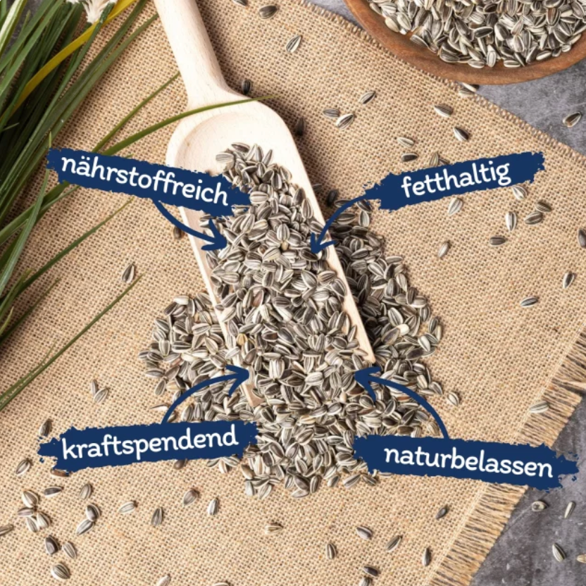 EE-Pflanzenhof's Sonnenblumenkerne gestreift 750g