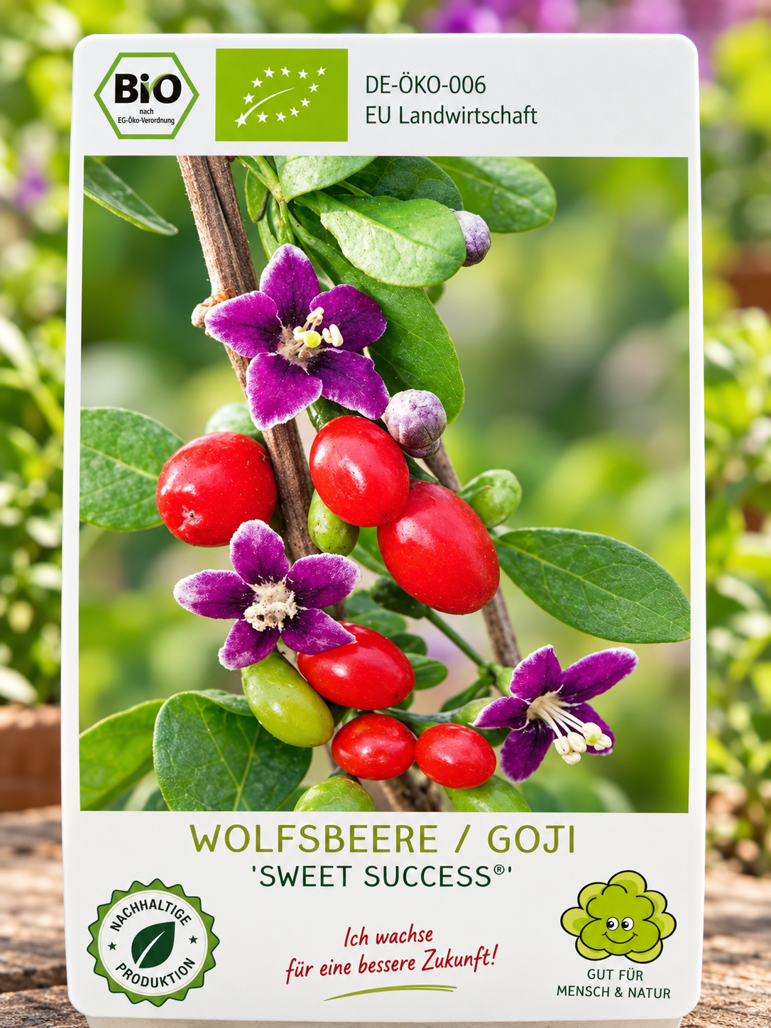 Goji Beere - Pflanze