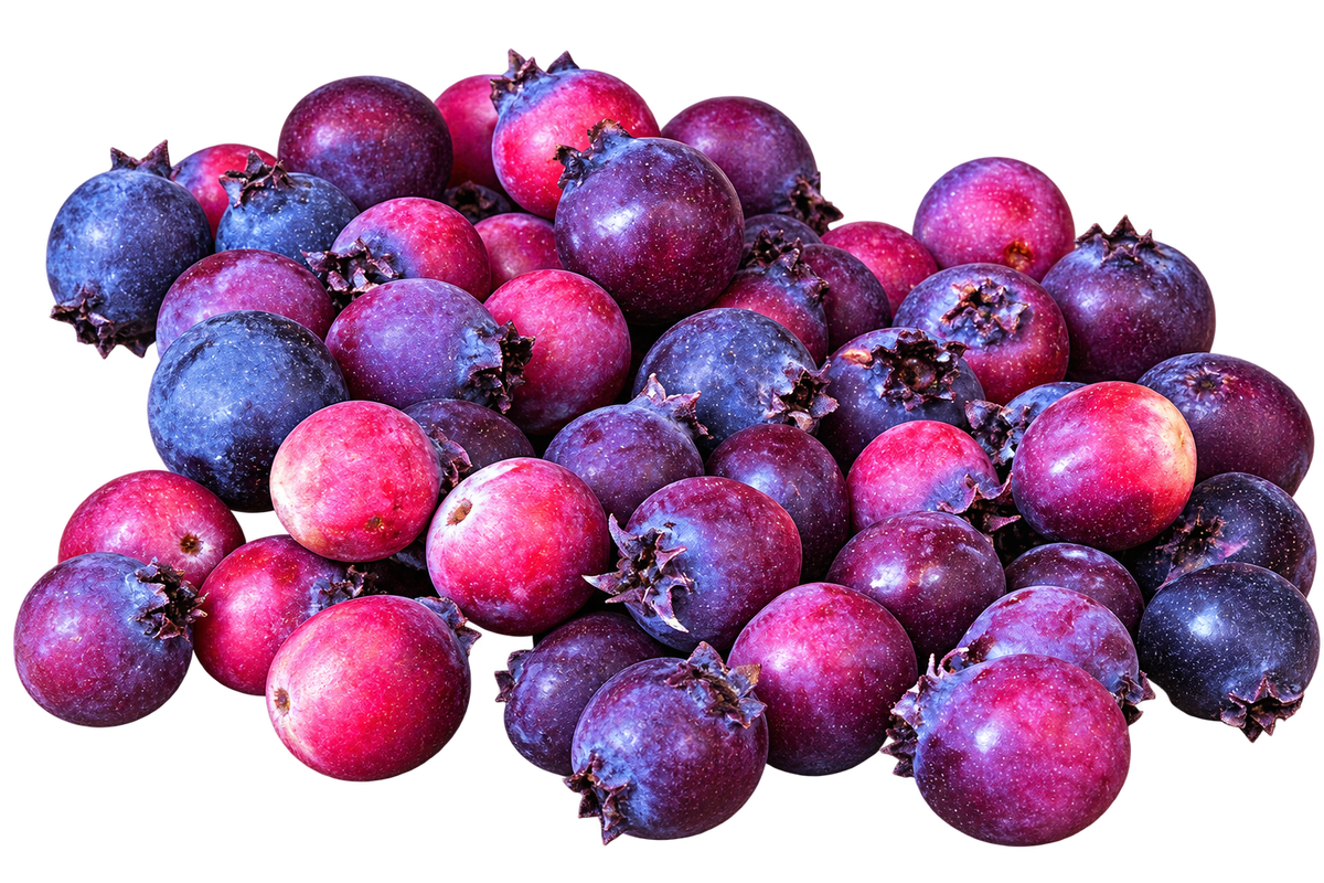 Greatberry