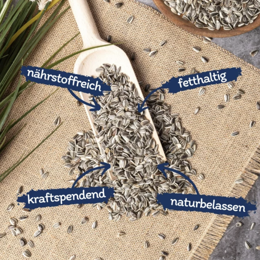 EE-Pflanzenhof's Sonnenblumenkerne gestreift 750g – Bild 4