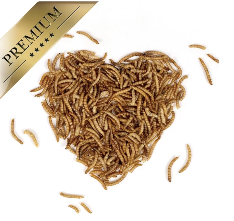 EE-Pflanzenhof's Mehlwürmer 200g – Bild 3