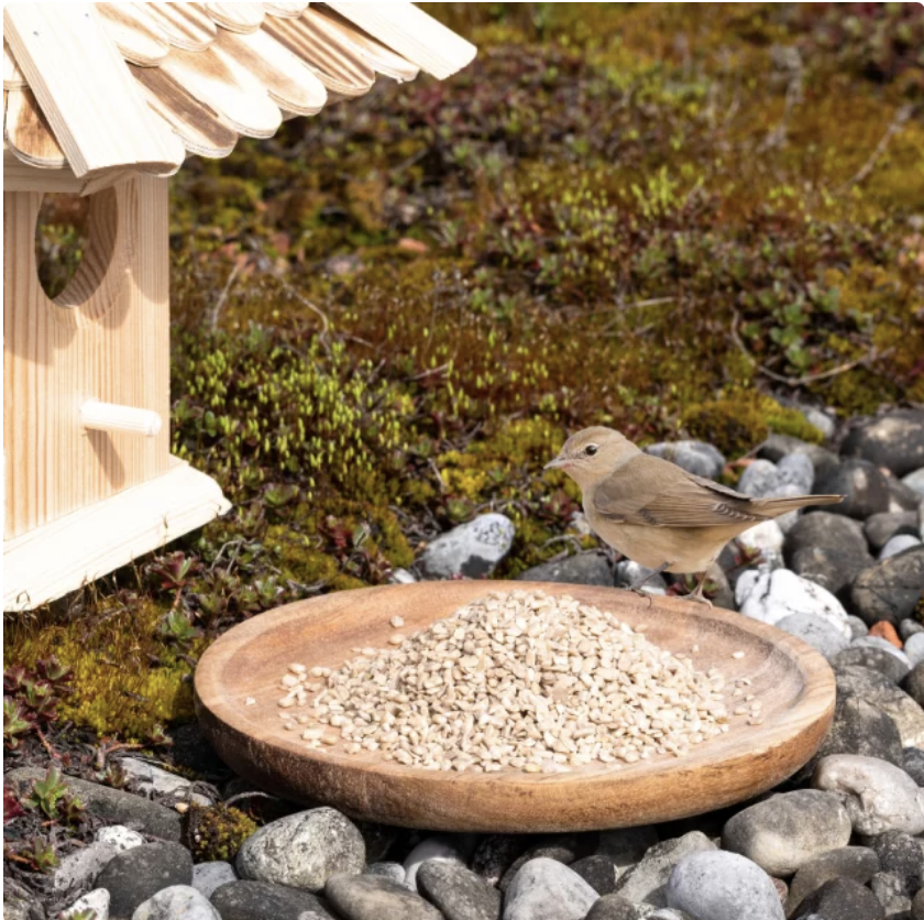 EE Pflanzenhof's Sonnenblumenkerne geschält 750g – Bild 4