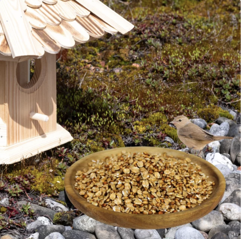 EE Pflanzenhofs Fettfutter 900g – Bild 3