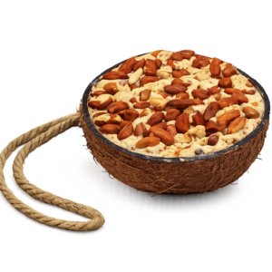 Halbe gefüllte Kokosnuss mit Erdnüssen