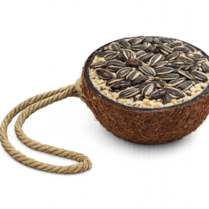 Halbe gefüllte Kokosnuss mit gestreiften Sonnenblumenkernen