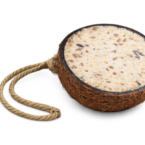 Halbe gefüllte Kokosnuss mit Fett